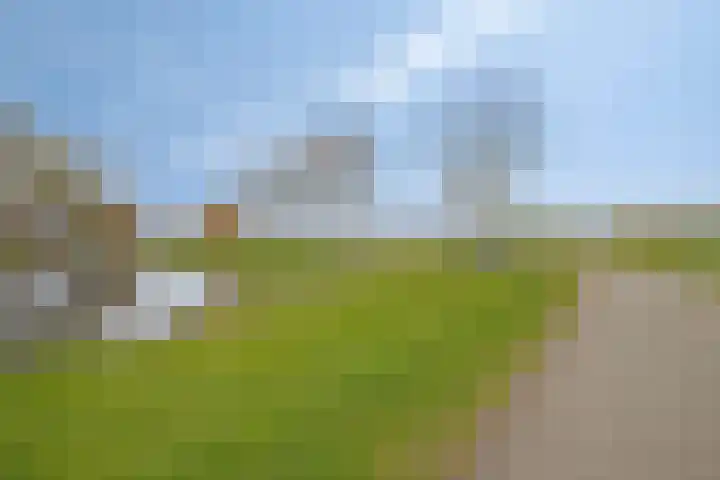 Eiberoord 10 Leiden thumbnail 31