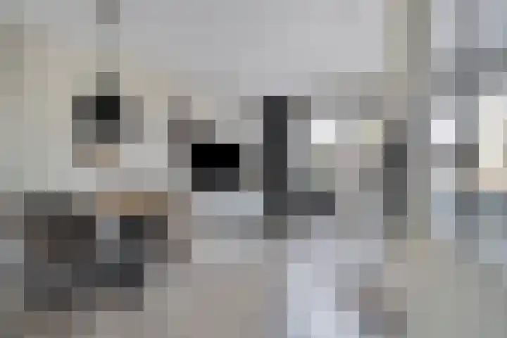 Eiberoord 10 Leiden thumbnail 8