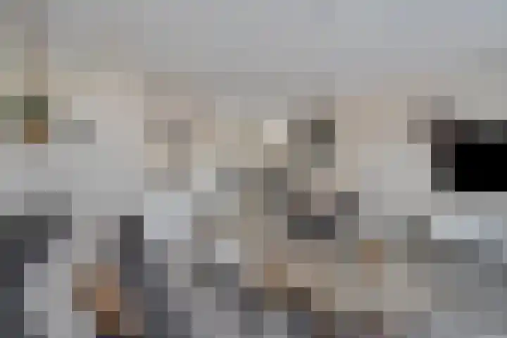 Eiberoord 10 Leiden thumbnail 9