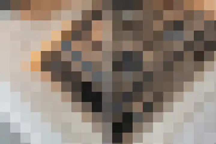 Eiberplantsoen 47 Groot-Ammers thumbnail 20