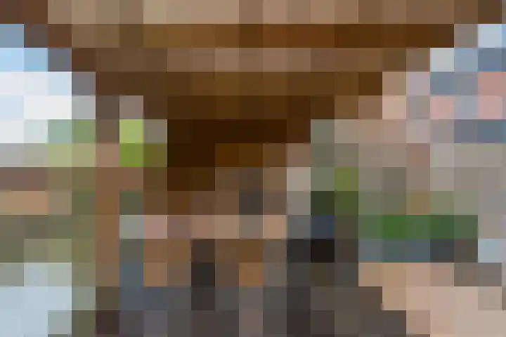 Eiberplantsoen 47 Groot-Ammers thumbnail 38