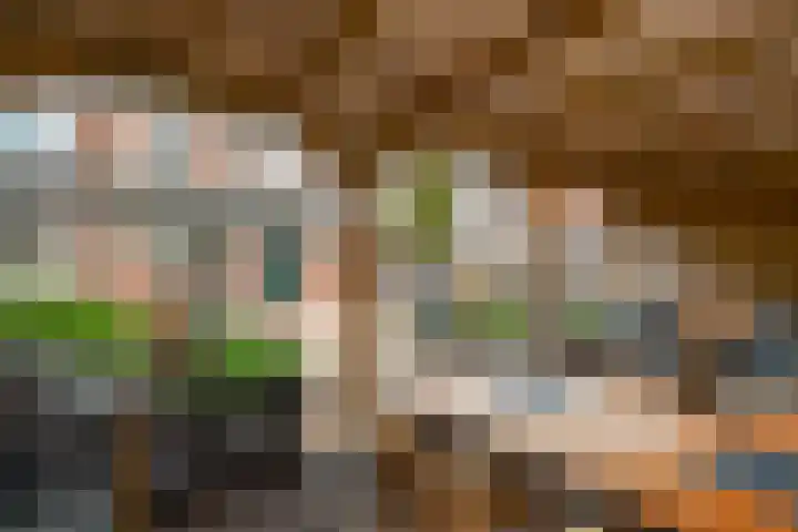 Eiberplantsoen 47 Groot-Ammers thumbnail 40