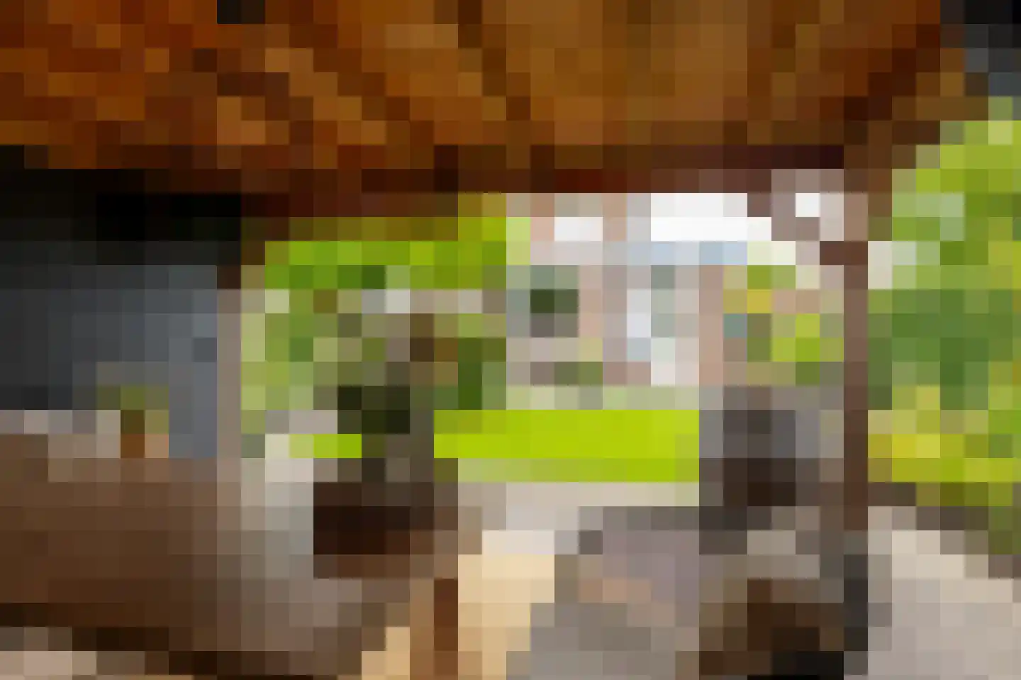 Eiberplantsoen 57 Groot-Ammers thumbnail 42