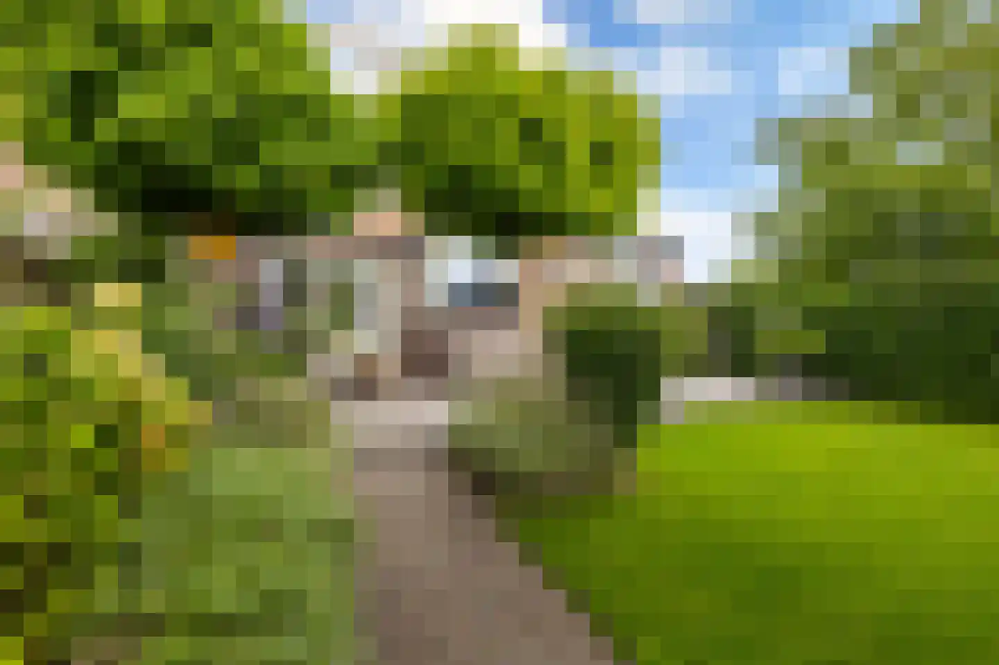 Eiberplantsoen 57 Groot-Ammers thumbnail 46