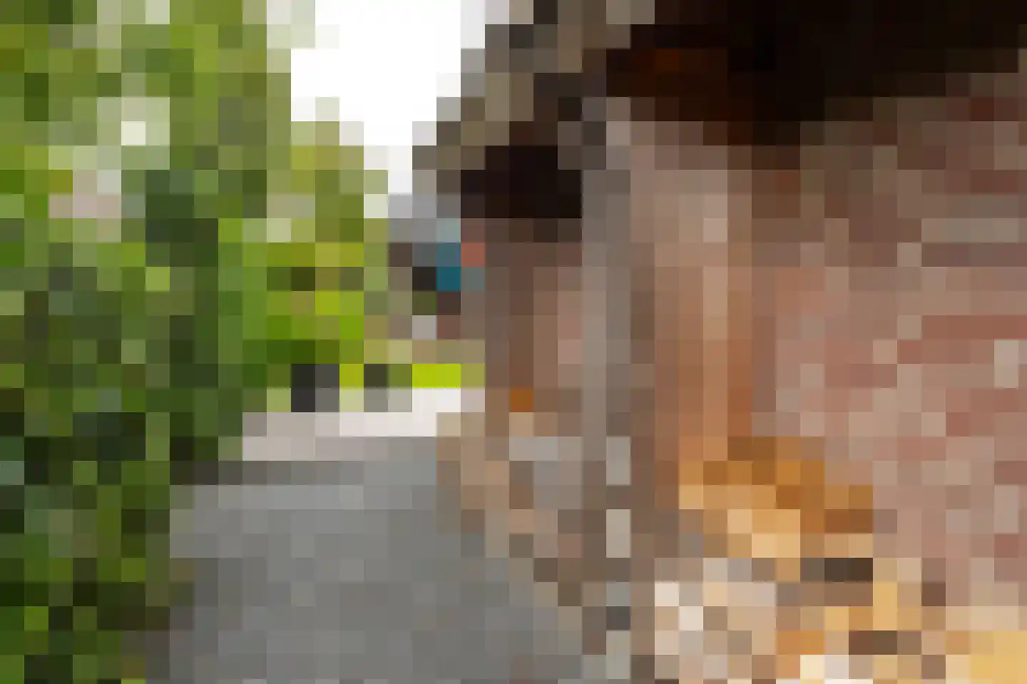 Eiberplantsoen 57 Groot-Ammers thumbnail 48