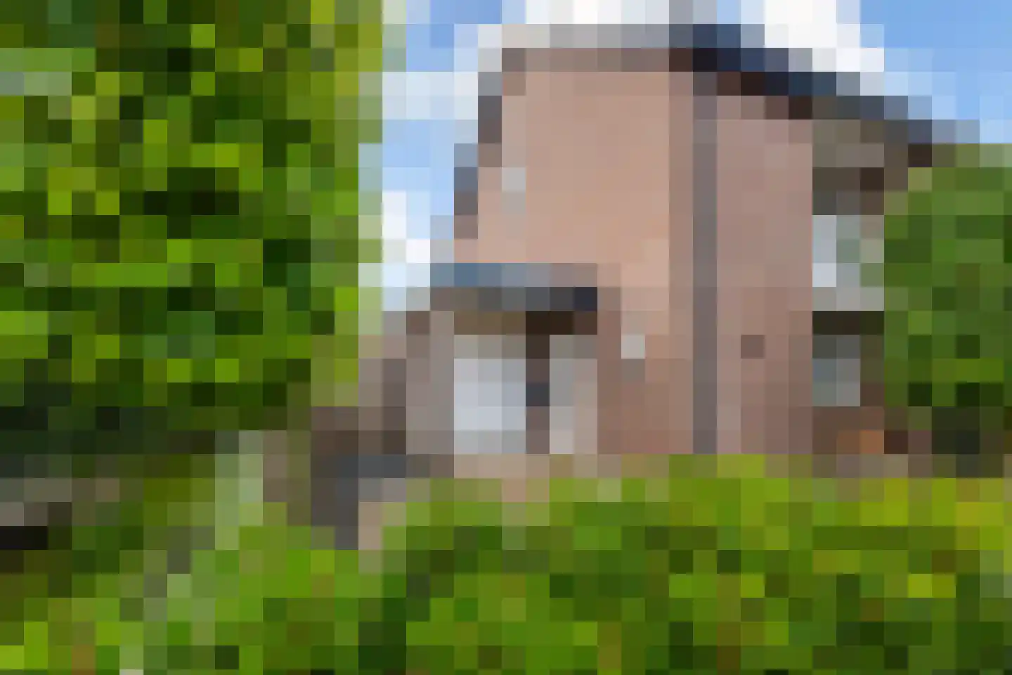 Eiberplantsoen 57 Groot-Ammers thumbnail 52