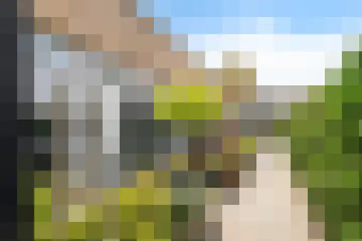 Eiberplein 1 m Bergschenhoek thumbnail 10