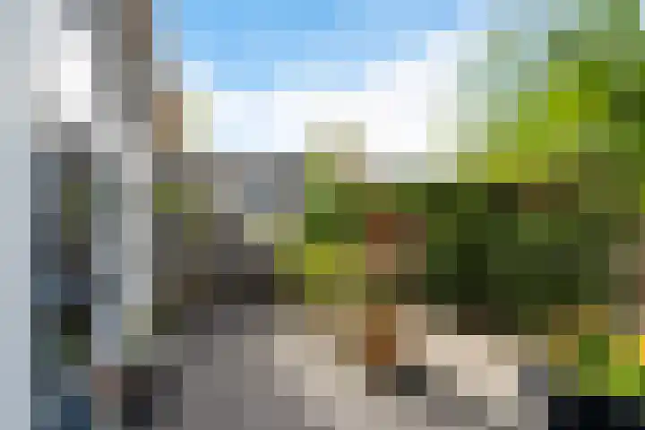 Eiberplein 1 m Bergschenhoek thumbnail 11