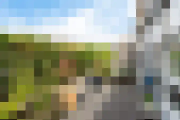 Eiberplein 1 m Bergschenhoek thumbnail 12