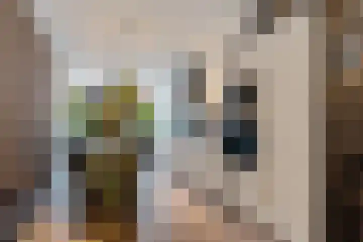 Eiberplein 1 m Bergschenhoek thumbnail 20