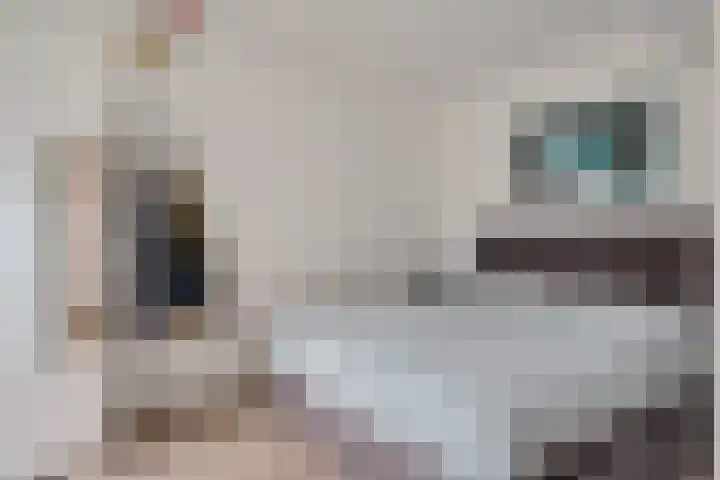 Eiberplein 1 m Bergschenhoek thumbnail 33