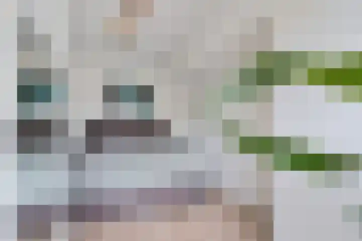 Eiberplein 1 m Bergschenhoek thumbnail 38