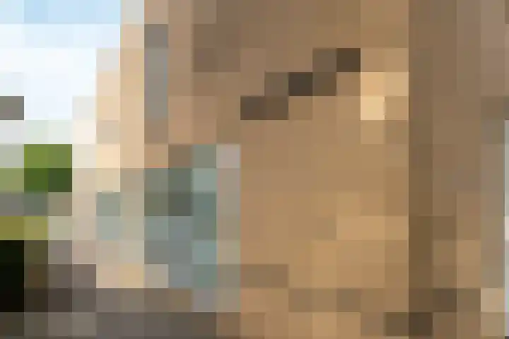 Eiberplein 1 m Bergschenhoek thumbnail 6