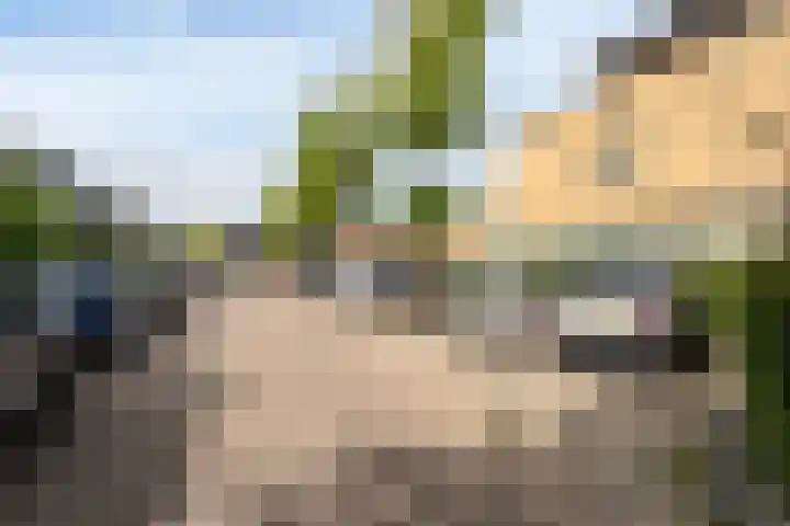 Eiberplein 1 m Bergschenhoek thumbnail 7