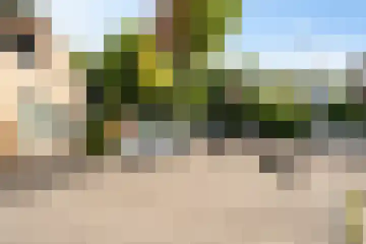 Eiberplein 1 m Bergschenhoek thumbnail 8
