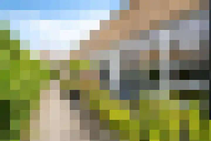 Eiberplein 1 m Bergschenhoek thumbnail 9