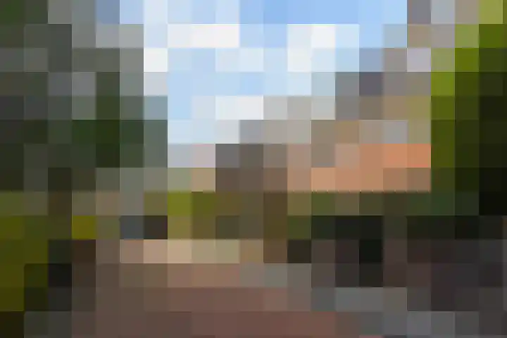 Eiberplein 2 Den Haag thumbnail 88