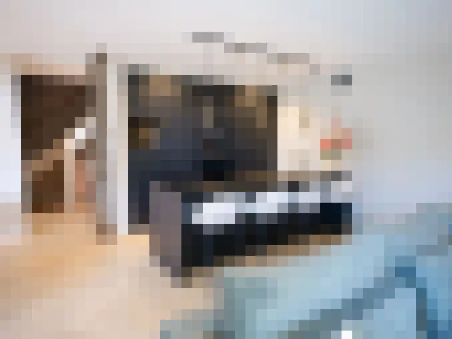 Eiberplein 3 d Bergschenhoek thumbnail 15