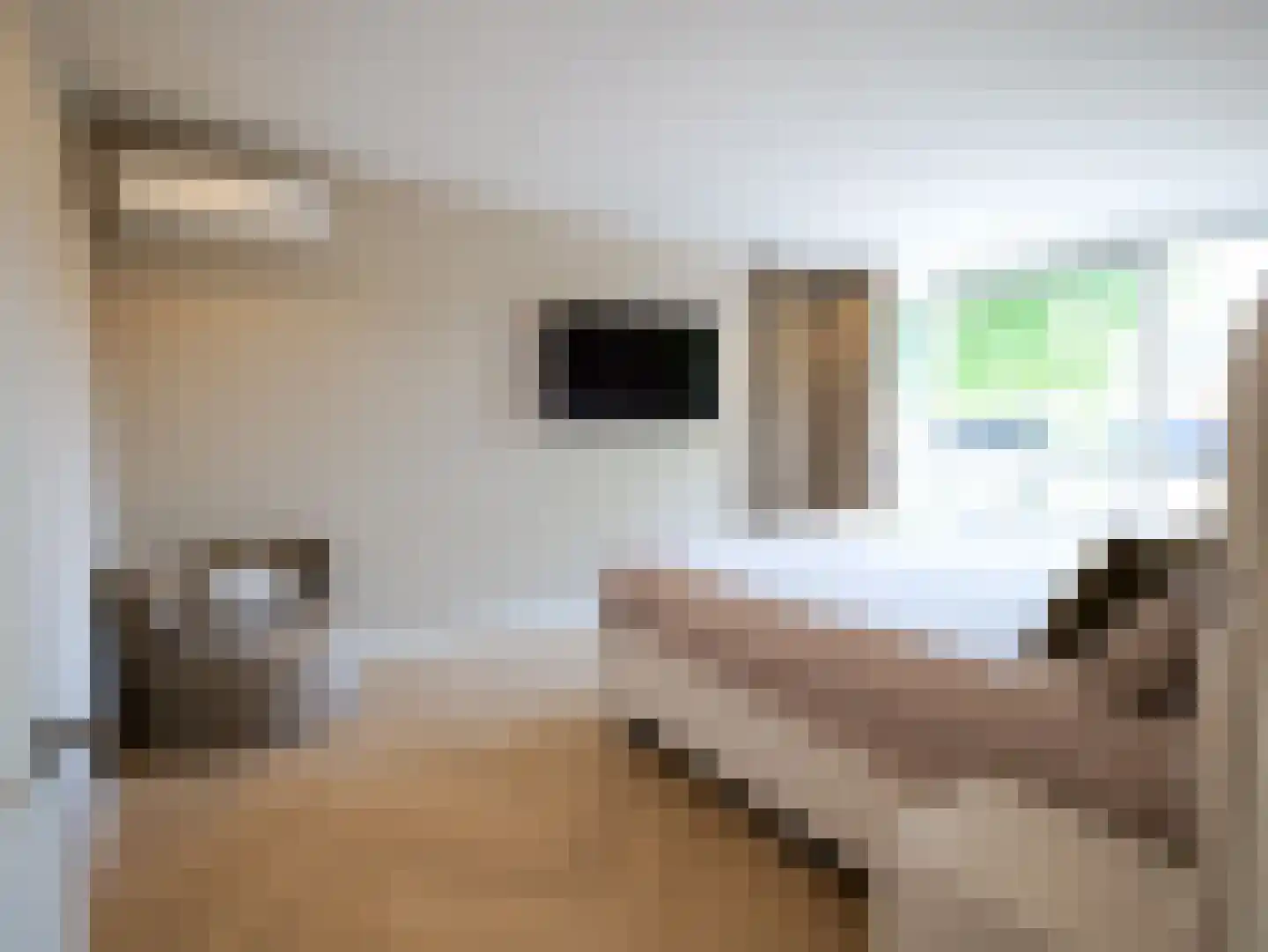 Eiberplein 3 d Bergschenhoek thumbnail 23