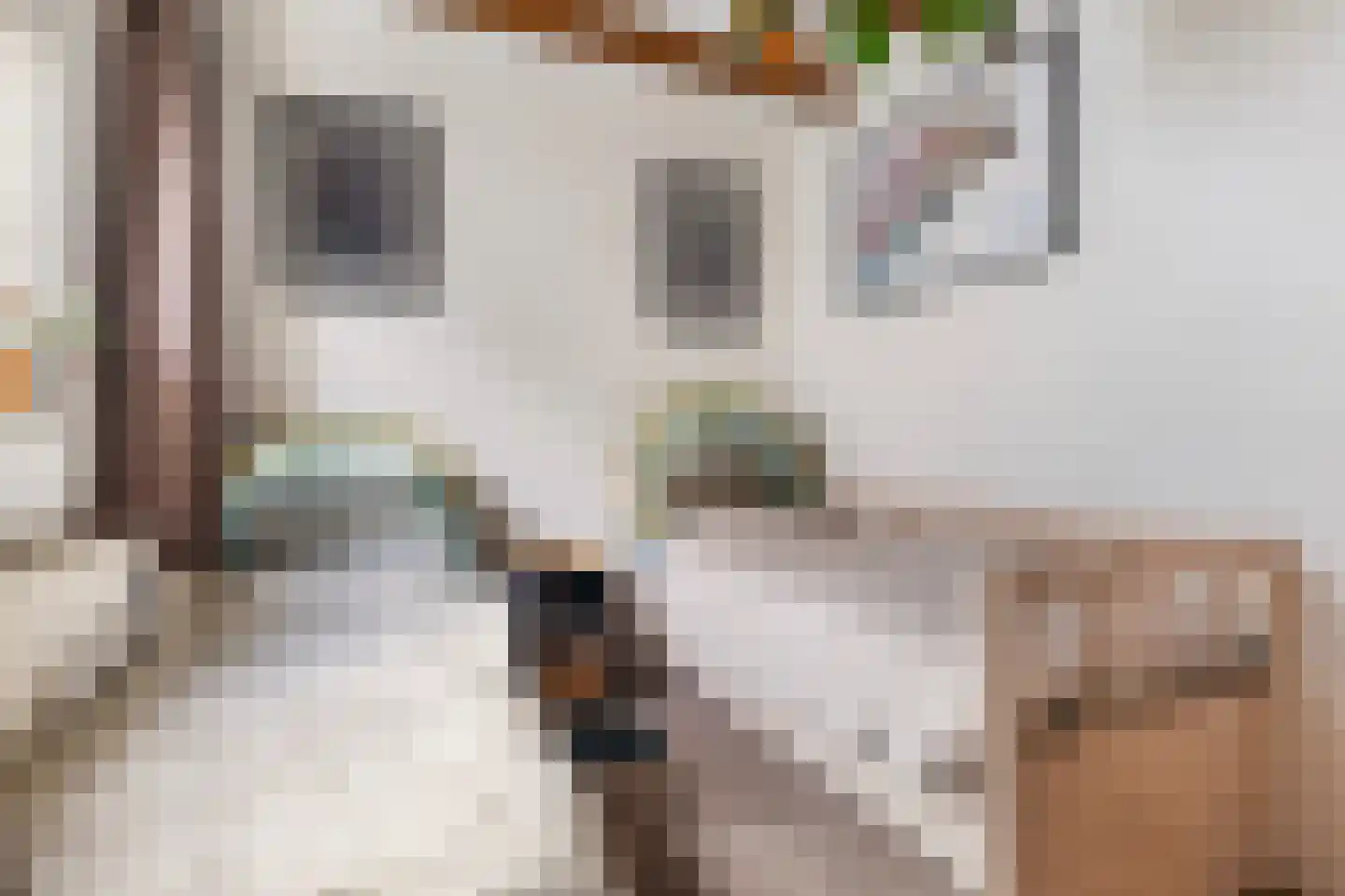 Eibersburen 8 Lutjegast thumbnail 24