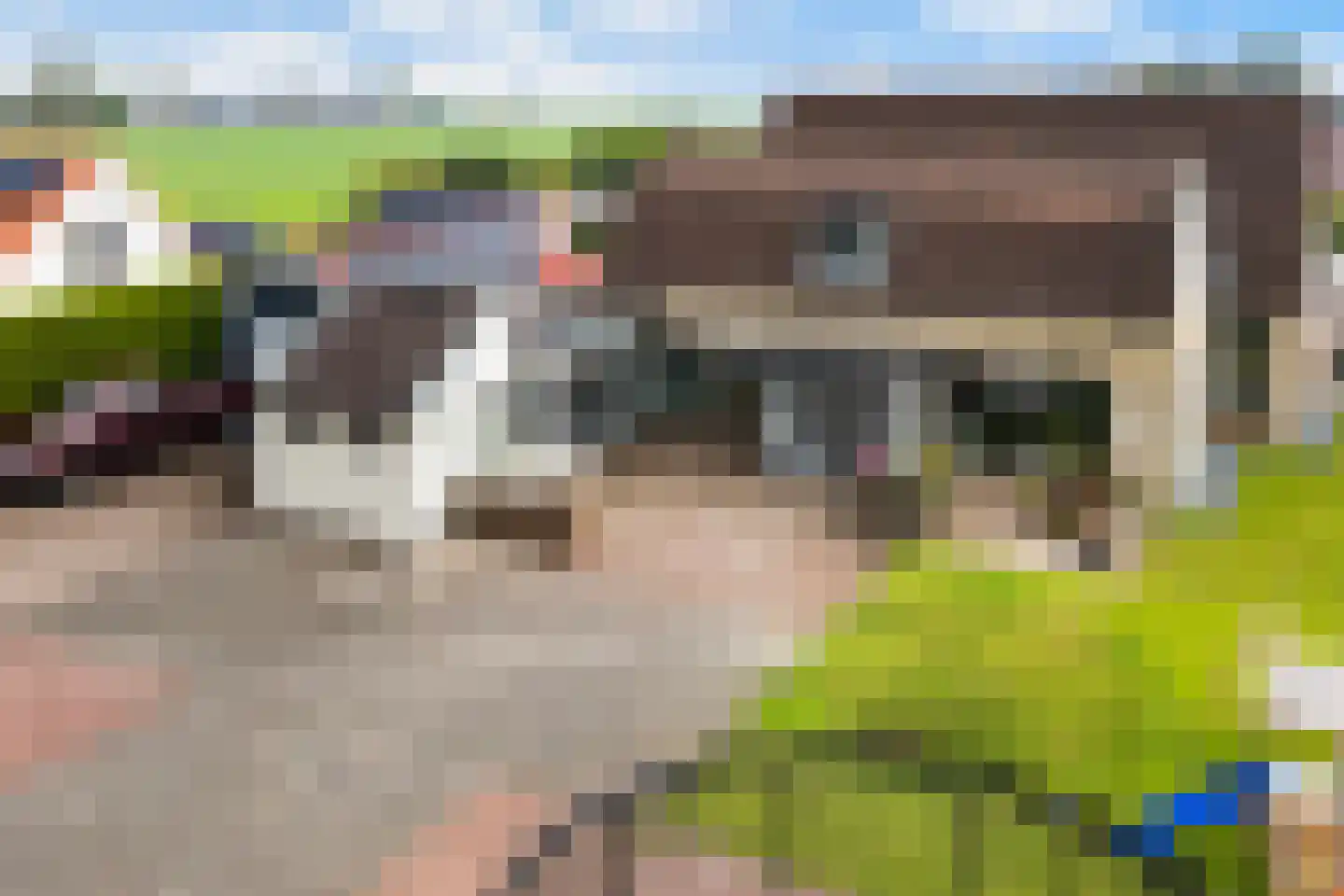 Eibersburen 8 Lutjegast foto 3