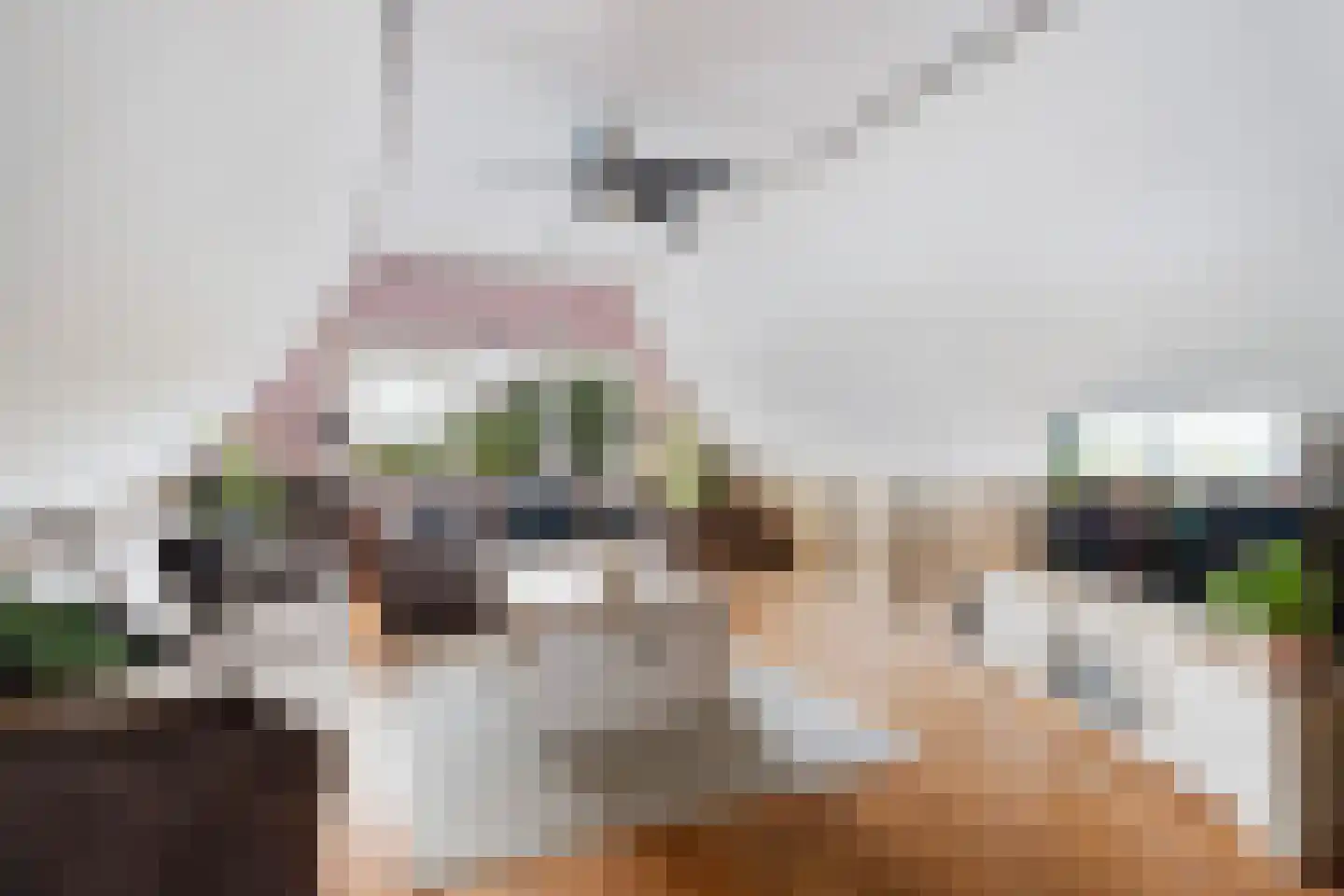 Eibersburen 8 Lutjegast thumbnail 34