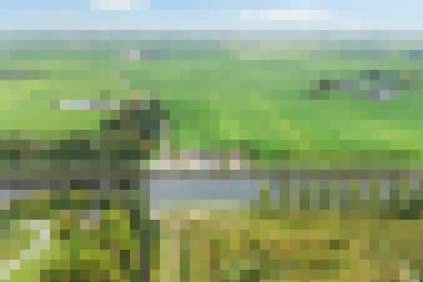 Eibersburen 8 Lutjegast thumbnail 65