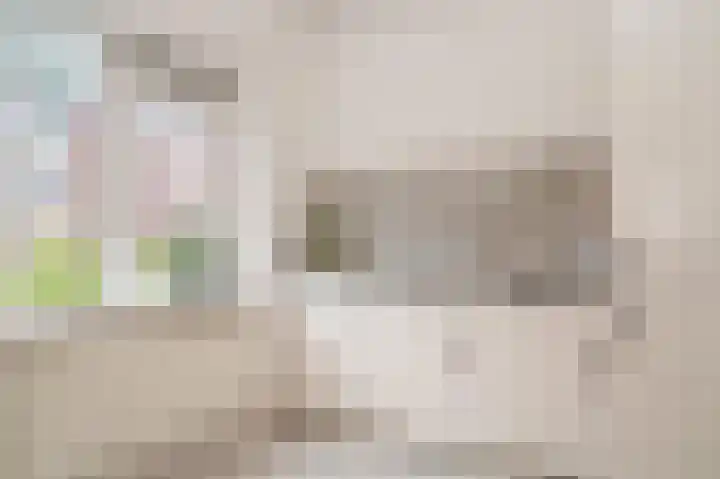 Eiberstraat 133 Velp thumbnail 12