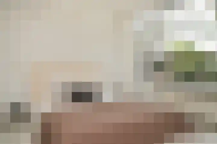Eiberstraat 133 Velp thumbnail 19