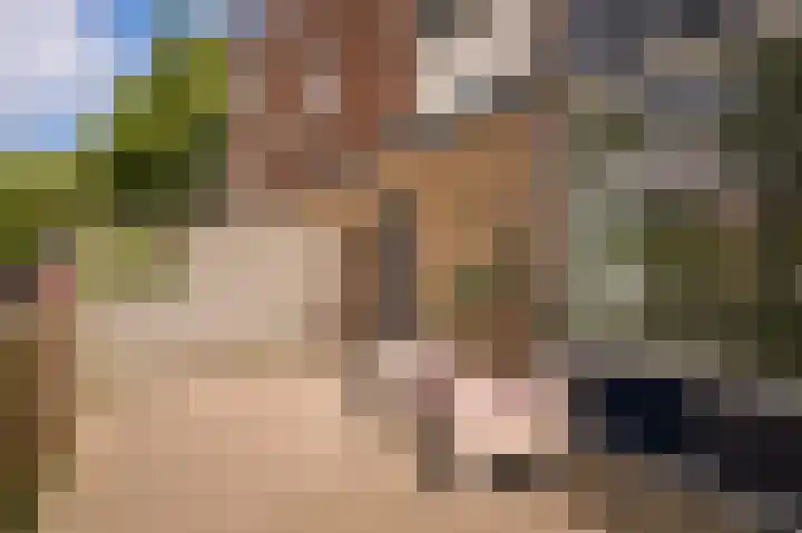 Eiberstraat 133 Velp thumbnail 26