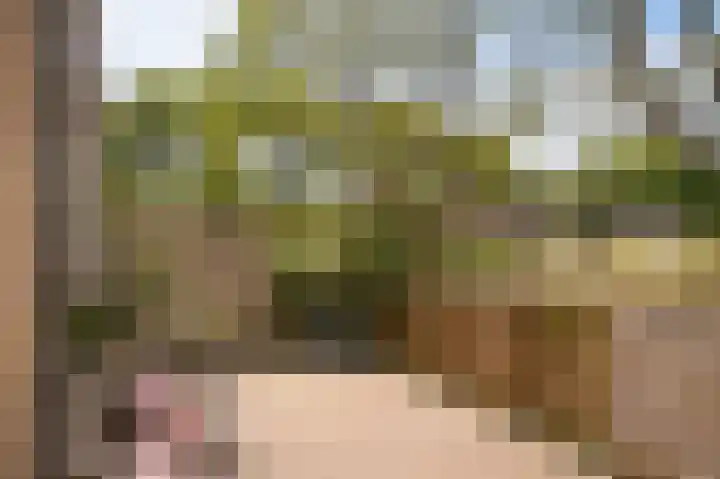 Eiberstraat 133 Velp thumbnail 30