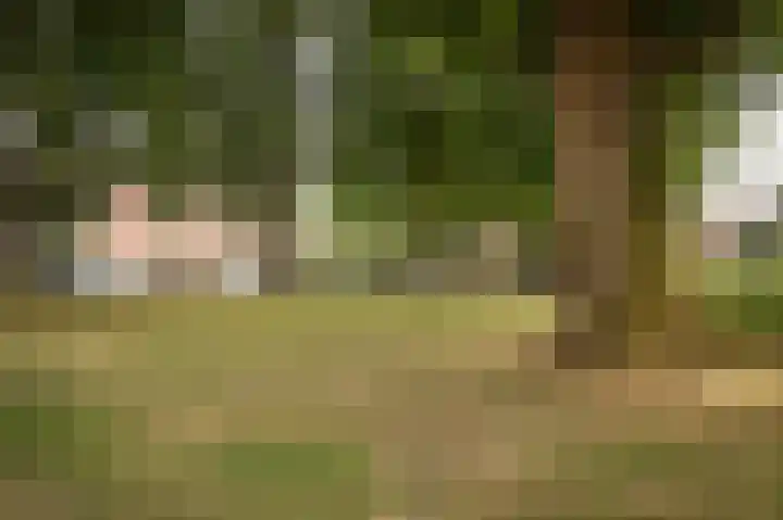 Eiberstraat 133 Velp thumbnail 34