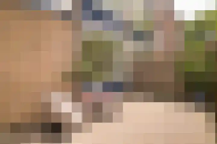 Eiberstraat 133 Velp thumbnail 4