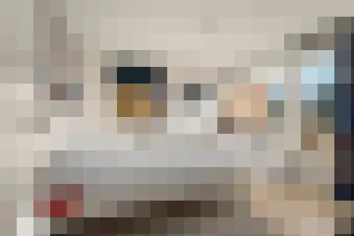 Eiberstraat 3 Velp thumbnail 18