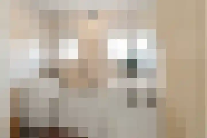 Eiberstraat 3 Velp thumbnail 25