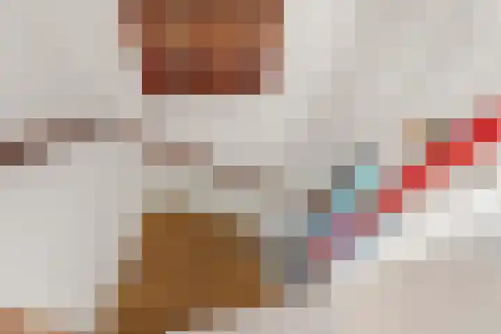 Eiberstraat 3 Velp thumbnail 27