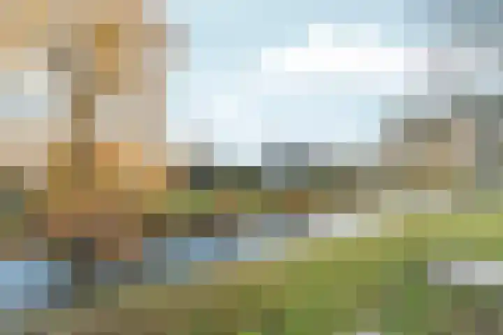 Eiberstraat 3 Velp thumbnail 28