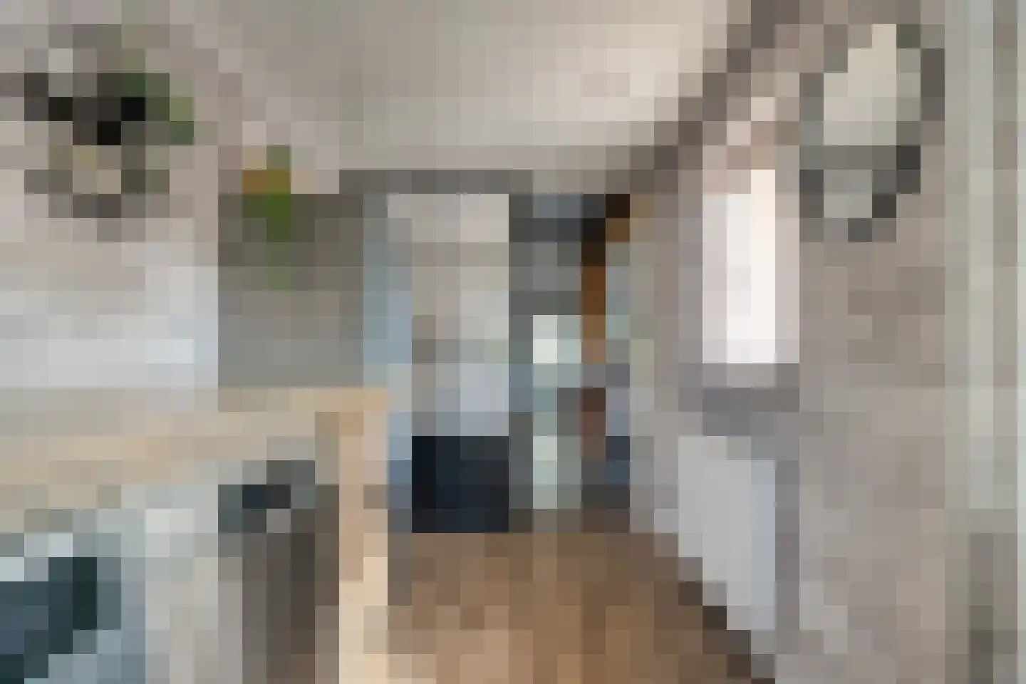 Eiberweg 14 Dedemsvaart thumbnail 12