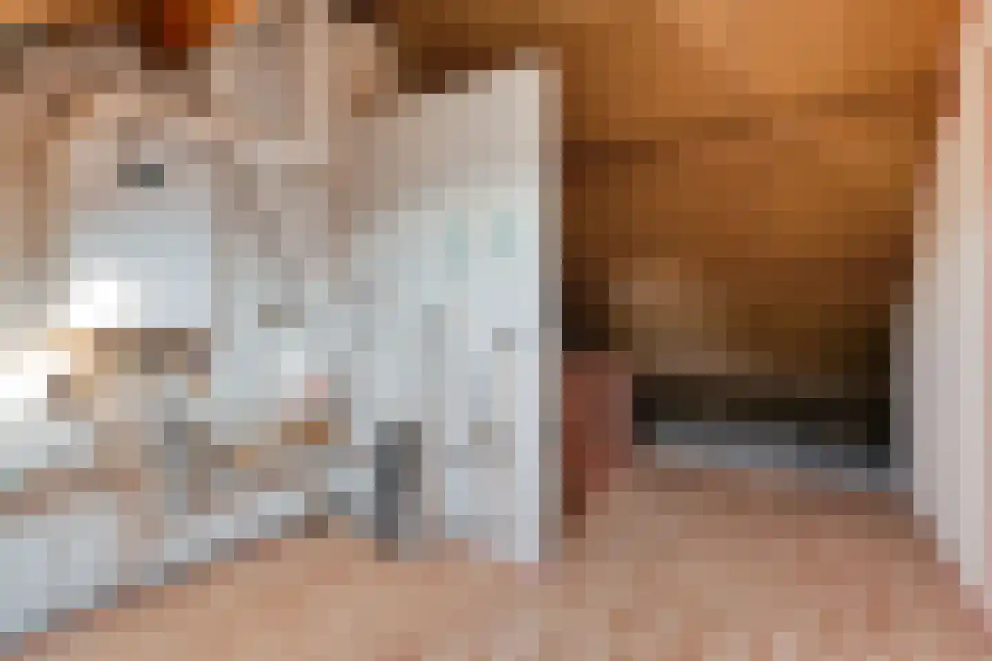 Eiberweg 14 Dedemsvaart thumbnail 24