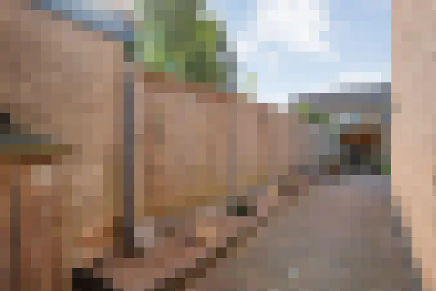 Eiberweg 14 Dedemsvaart thumbnail 34