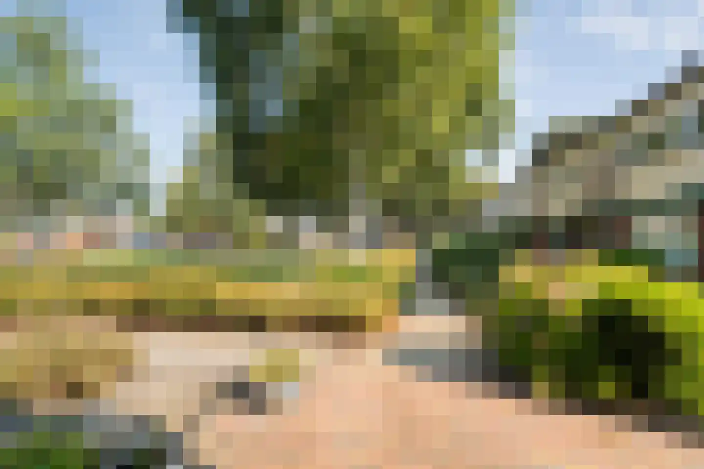 Eiberweg 14 Dedemsvaart thumbnail 38
