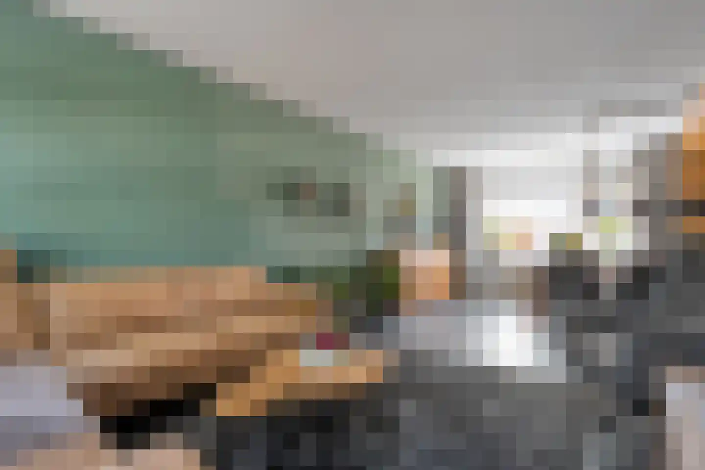 Eiberweg 14 Dedemsvaart thumbnail 6