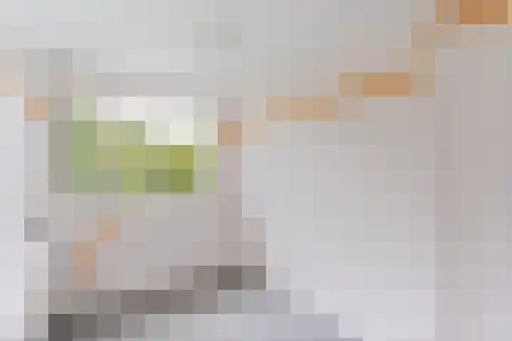Eiberweg 86 Dedemsvaart thumbnail 13