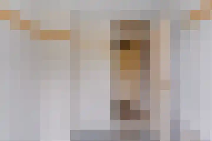Eiberweg 86 Dedemsvaart thumbnail 14