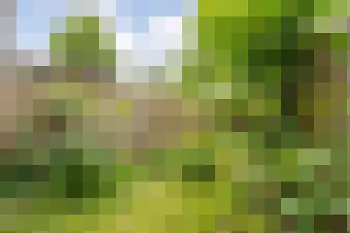 Eiberweg 86 Dedemsvaart thumbnail 20