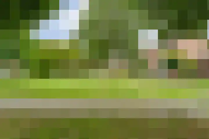 Eiberweg 86 Dedemsvaart thumbnail 22
