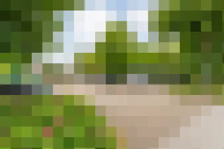 Eiberweg 86 Dedemsvaart thumbnail 23