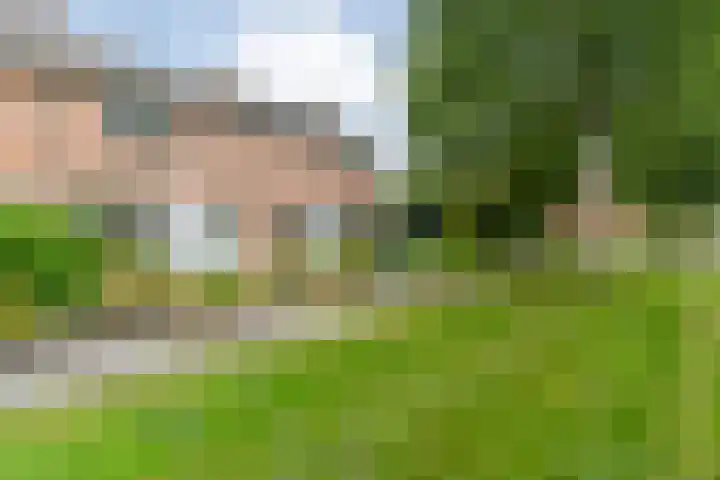 Eiberweg 86 Dedemsvaart thumbnail 4