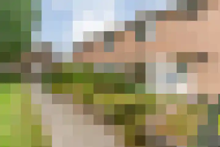 Eiberweg 86 Dedemsvaart thumbnail 5