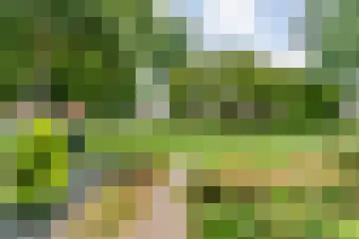 Eiberweg 86 Dedemsvaart thumbnail 6